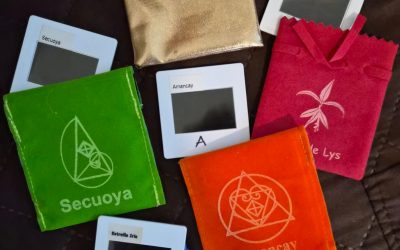 FILTROS FLORALES Y BIOENERGÉTICOS