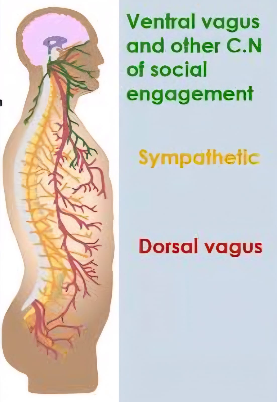 WhatsApp Image 2025-11-23 at 15.01.07