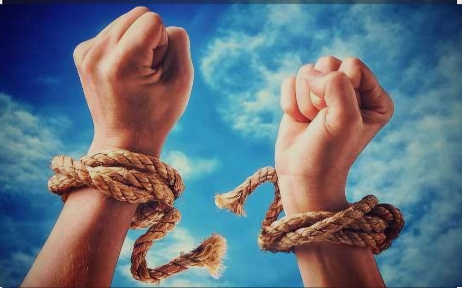 WhatsApp Image 2025-11-24 at 10.10.45